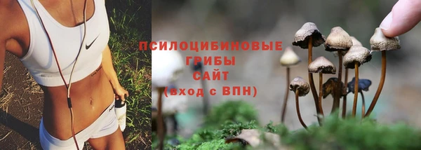 круглые Арсеньев